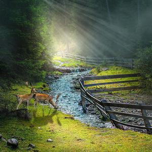 秀人网唐翩翩私人订制
